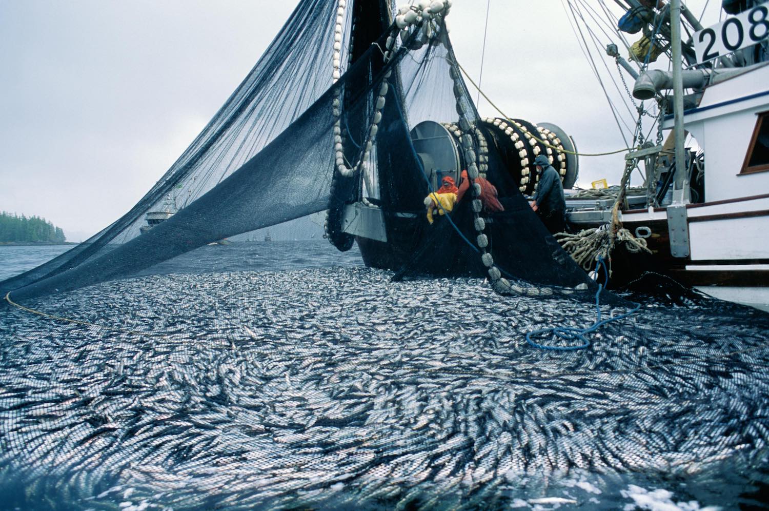Vietnam Fishery Industry Comprehensive Report Q1/2020