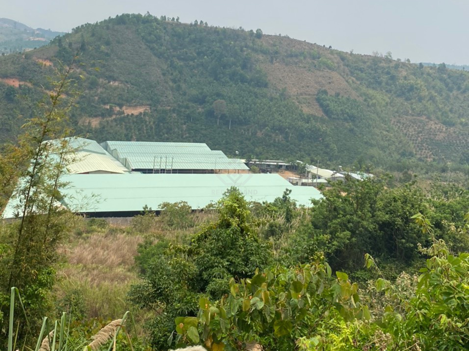 Nhà Xưởng tại Ngọc Hồi - Quảng Ngãi