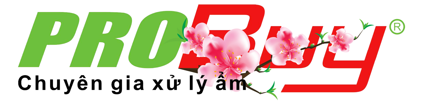Công ty TNHH Đầu tư Phát triển Probuy