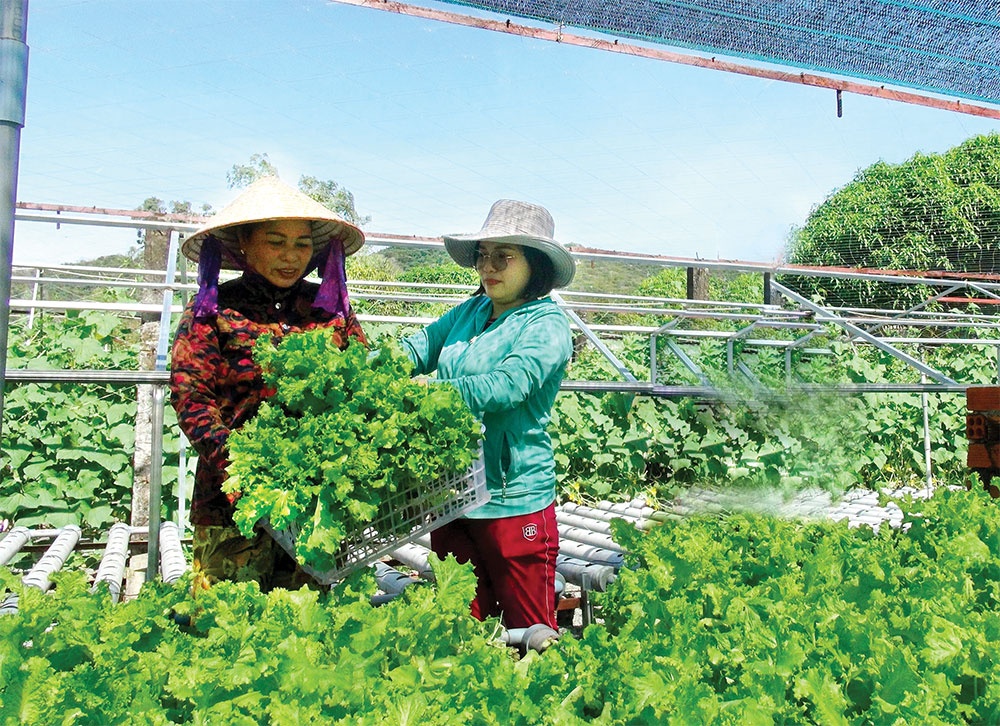 Ba Ria-Vung Tau’s adjustment towards high-tech agriculture