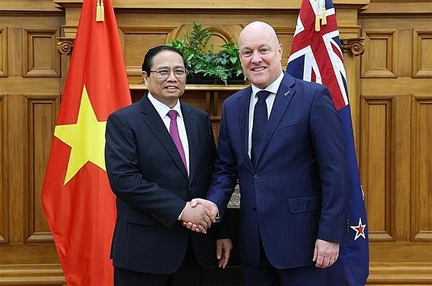 New Zealand players keen on creating Vietnam success stories