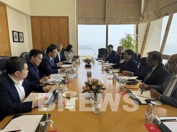 Vietnam, India step up cooperation in energy, biofuels