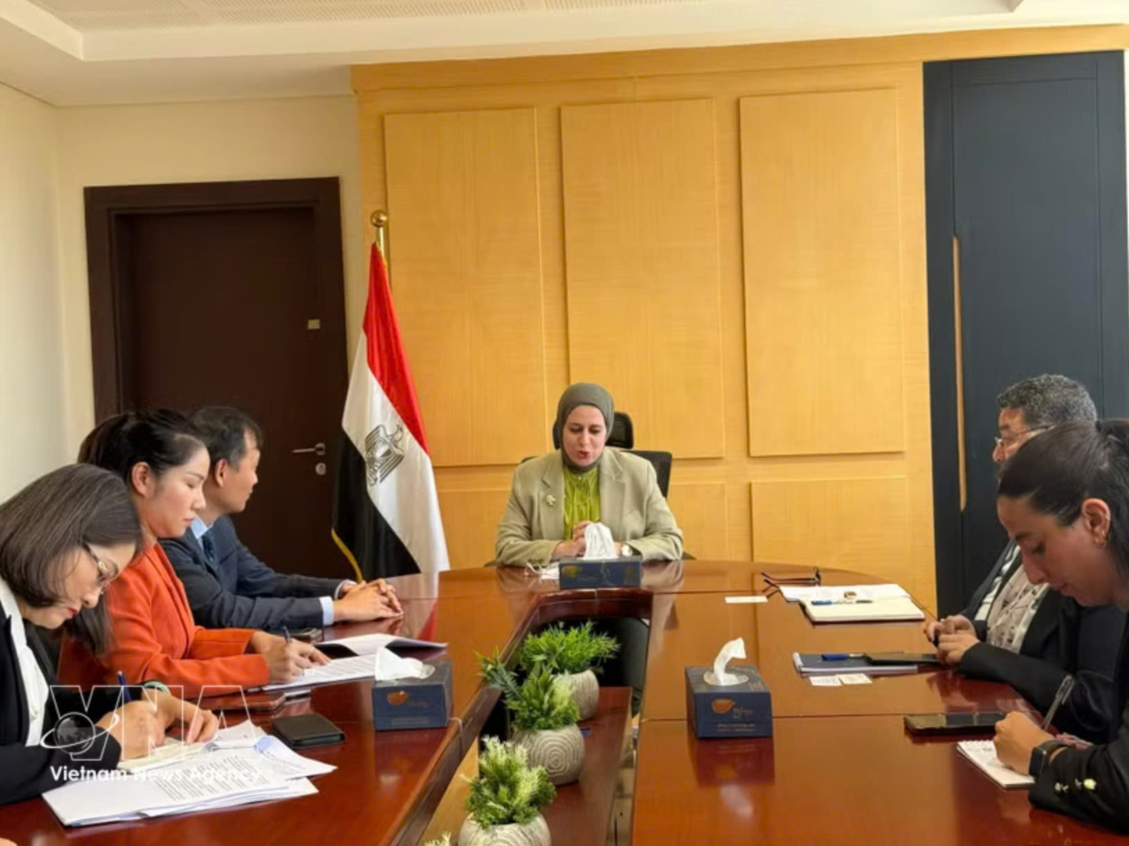 Vietnam, Egypt step up implementation of comprehensive partnership