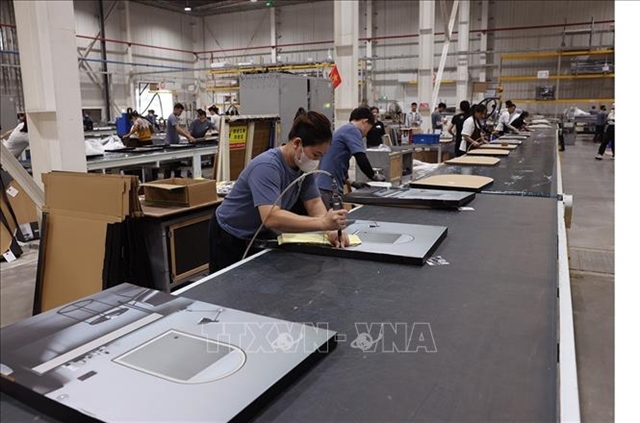 Việt Nam's H1 foreign investment inflows jump 61%, led by Asian investors