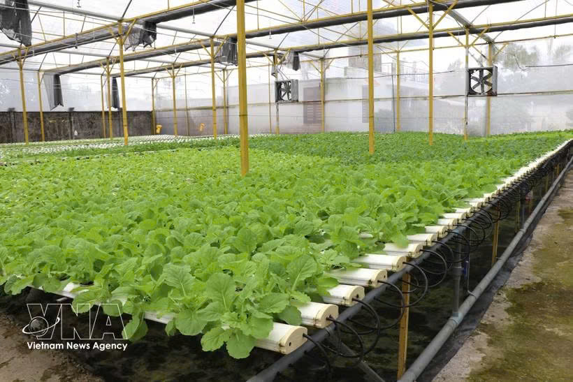 Incentive policies for high-tech agricultural zones