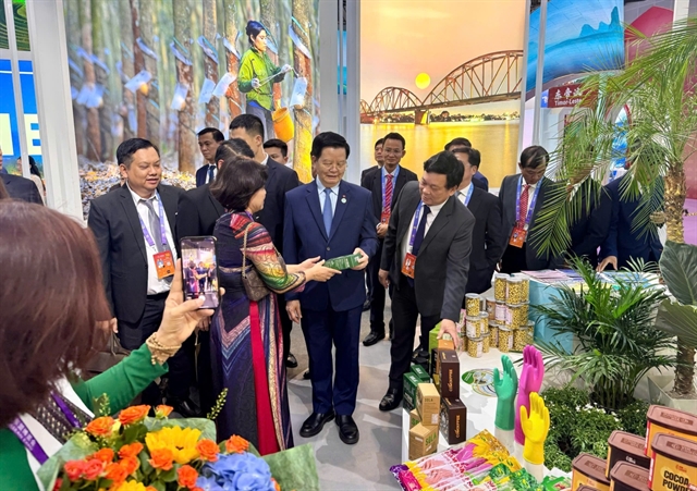 Việt Nam steps up trade, investment promotion at China-ASEAN Expo