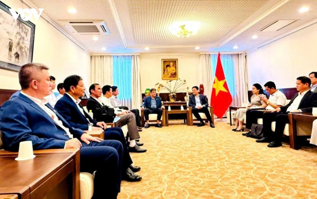 Dak Lak steps up investment promotion from Japan