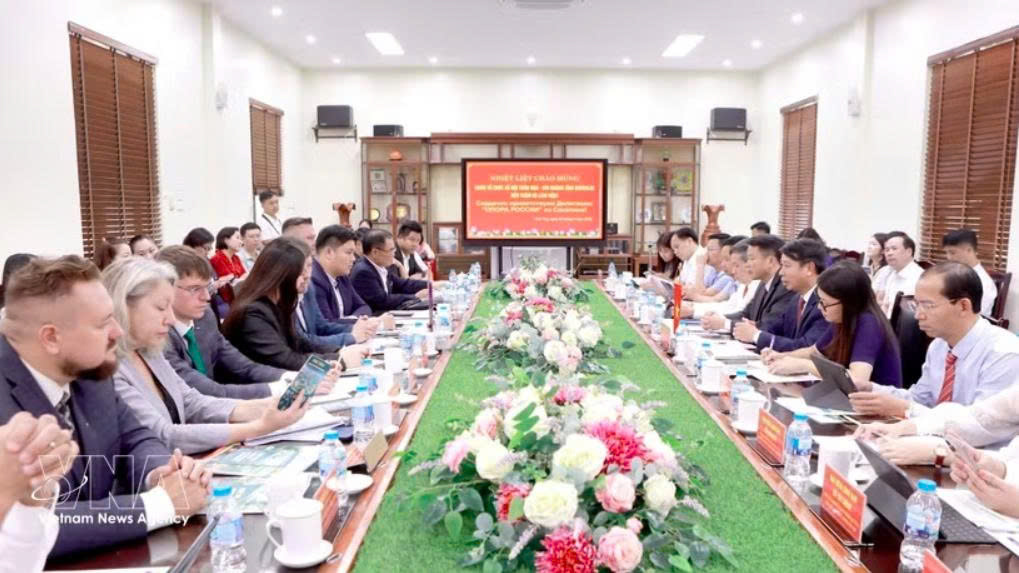 Phu Tho courts Russian investors in vocational training, trade