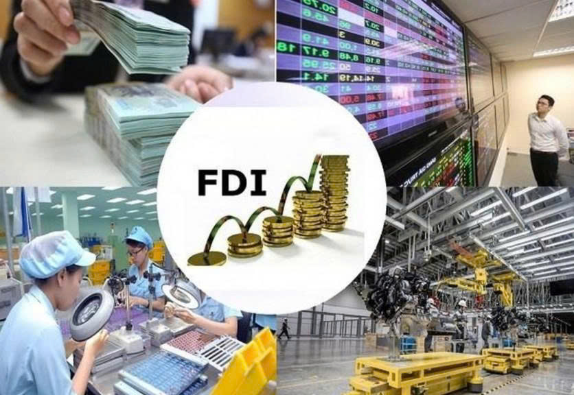 How can Vietnam transform surging FDI into domestic business strength?
