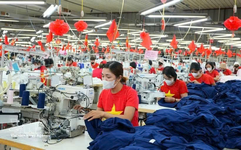 Vietnam, Belgium expand cooperation, tap trade, investment potential