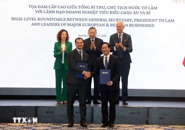 To Lam attends high-level roundtable with major European, Belgian businesses