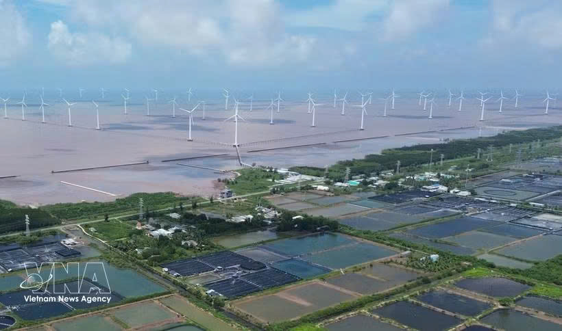 Vietnam, Norway eye huge cooperation potential in offshore wind power