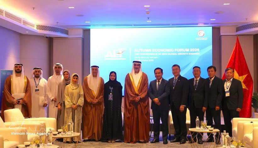 Ho Chi Minh City seeks to expand energy cooperation with UAE