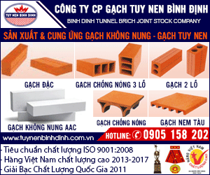Binh Dinh Tunnel Brick Joint Stock Company