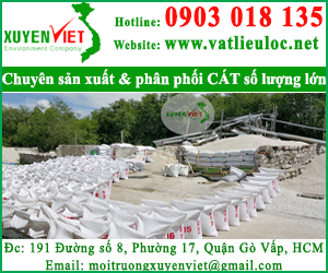 Xuyen Viet Environment Company